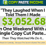 copy and paste income review