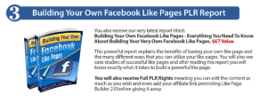 Build your own Facebook Like Pages
