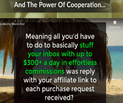 What is moola vine?