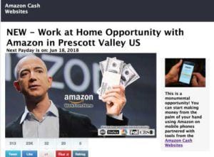 The Amazon Cash Websites Review
