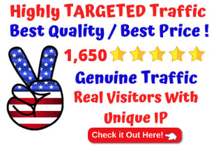 buy quality traffic for your website