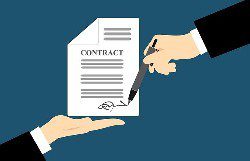 Proprietorship or LLC