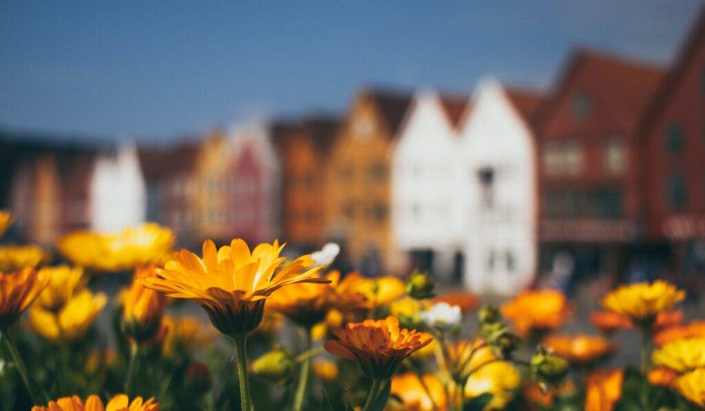 7 charming places to live in north carolina