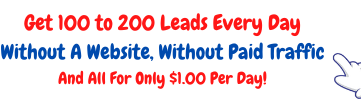 How to Convert Traffic Into Money? - 200 leads a day